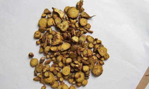 中药黄芪的功效与主治-中药化石的功效网 - 为你提供中药黄精的功效与作用及禁忌、中药黄精的功效与作用